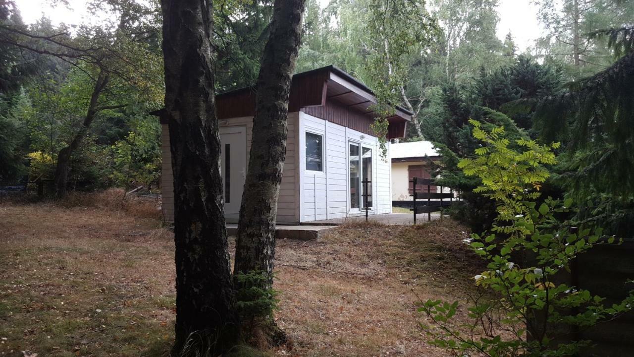 Bungalowdorf Klein Budelsdorf Альтенберг Экстерьер фото